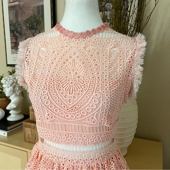 ALEXIS Sage A Line Blossom Blush Pink Dress Cutout Wedding Guest Size XS - Picture 4 of 13